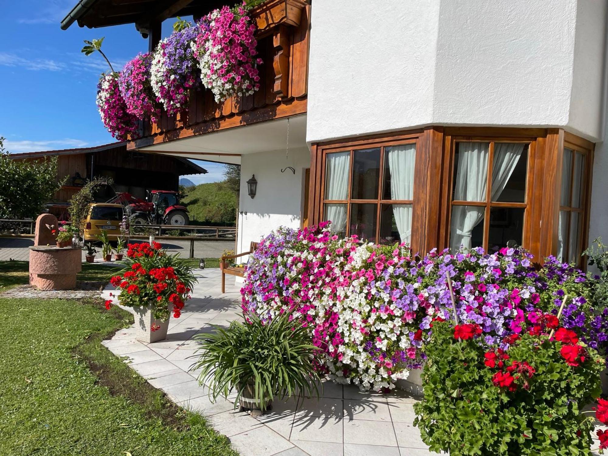 Gaestehaus Seeklause Schwangau Eksteriør billede