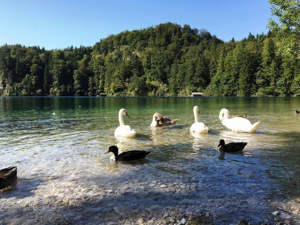Gaestehaus Seeklause Schwangau Eksteriør billede